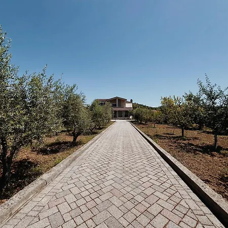 Briza Vila Tirana